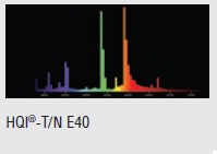  ������ ���� �����